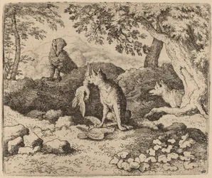 De Das Gaat Reynard Waarschuwen
