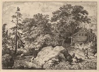 De heuvel