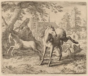 De merrie en de wolf