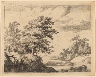 Kronkelende rivier