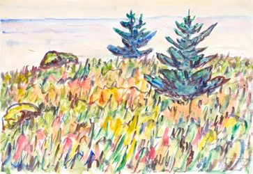 Aquarel nr. 35, veld met twee pijnbomen