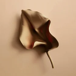 Zachte organische vorm