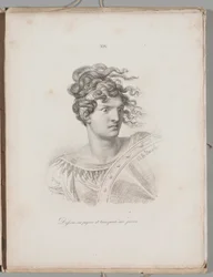 Kunst van de Lithografie: Kop van een Amazone, Plaat XIV