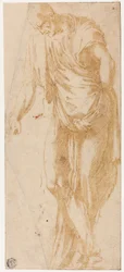 Studie van Levi