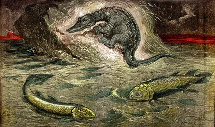 Overgang van vis naar reptielen: Proteosaurus (boven) reptiel van vis, periode van steenkool. De Holoptychius linksonder, en L