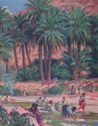 Palmbomen. De palm werd gezegend door de profeet Mohammed in de Koran. Kleurenlithografie, 1918.