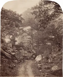 Fontainebleau,ca. 1860 (foto)