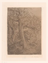Twee bomen