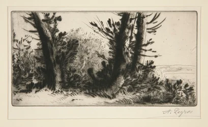 Door het veld