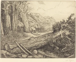 Bij de Houthakkers