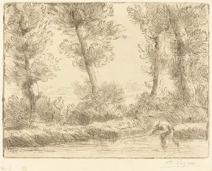 Oevers van de Liane