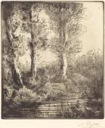 Oevers van de Saint-Pre