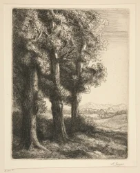 Hoek van