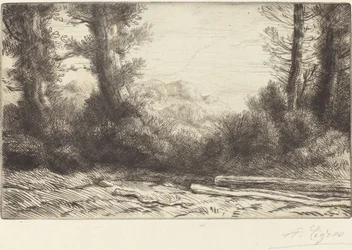 Bosrand (Lisiere de bois)