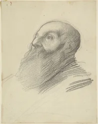 Hoofd van een man met een baard