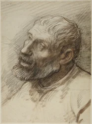 Hoofd van een man met een baard