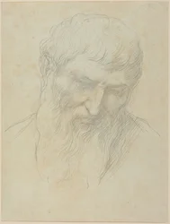 Kop van een man met krullend haar en baard