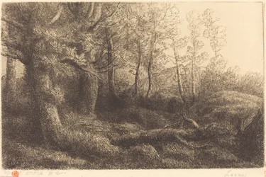 In het Bos
