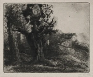 In de ruïnes
