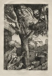De dood in de perenboom