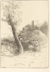Landschap