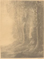 Landschap