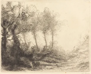 Landschap