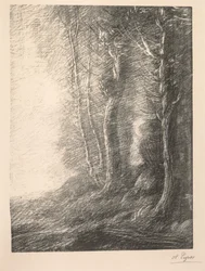 Landschap (Paysage)