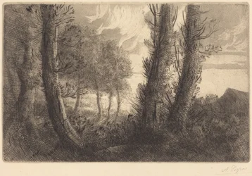 Landschap