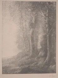 Landschap