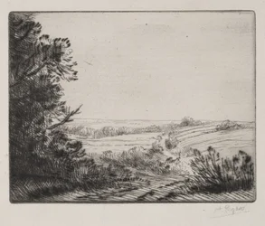Landschap