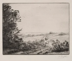 Landschap