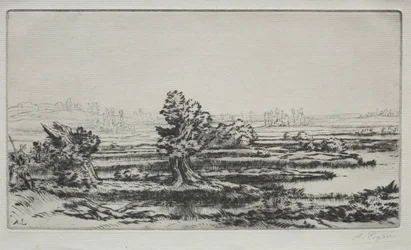 Landschap