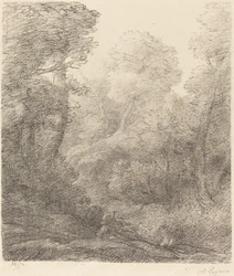 Landschap: Ochtendmist