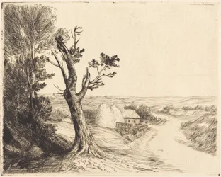Landschap met hooimijten (Le paysage aux meules)