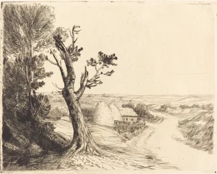 Landschap met hooibergen