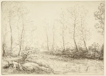 De berken