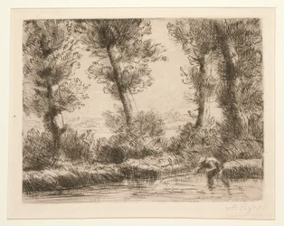 De oevers van de Liane