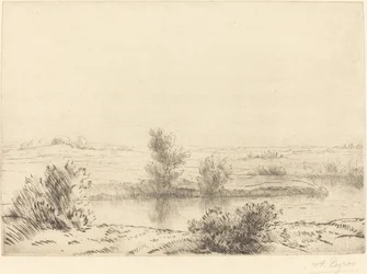 Moeras