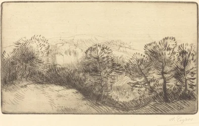 Bij het bos