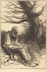 Old man, Old Tree (Oude man, oude boom)