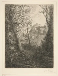 Landschap