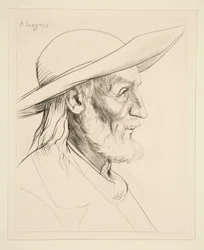Paysan Breton (Bretonse Boer)