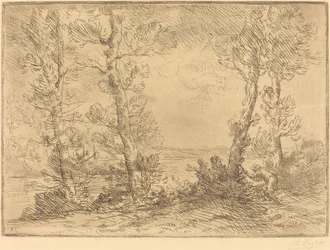 Zalmvisser (Le pecheur du saumon)