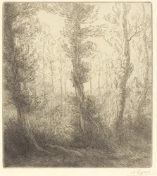 Klein meer