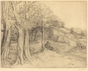 Eenzaamheid (Landschap)