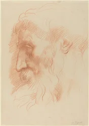 Studie van een Mannenhoofd [recto]