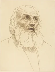 Study of an Old Man (Studie van een oude man)