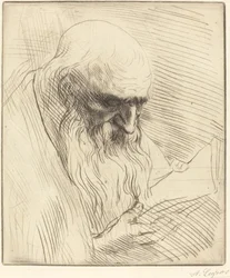 Studie van het Hoofd van een Man die Leest Etude de tete d