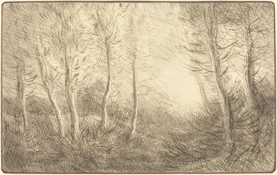 Zonsopgang, Bossen van Clamard